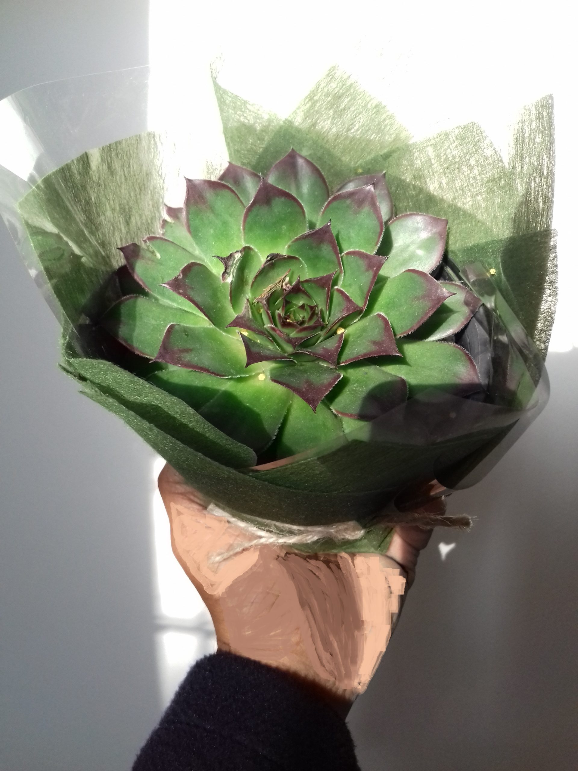 {"id":160,"width":"124px","height":"auto","sizeSlug":"large","linkDestination":"none","align":"right","style":{"color":{"duotone":"var:preset|duotone|grayscale"}}}